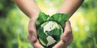 What-Can-I-Contribute-To-Save-Mother-Earth