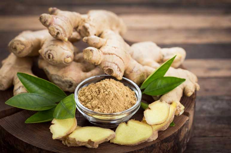 Knee-Pain-Cure-With-Ayurveda-Effectively-GINGER