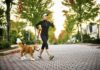 4 Fitness Improvement Recommendations For Your Family, Pets Also