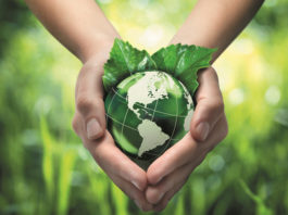 What-Can-I-Contribute-To-Save-Mother-Earth