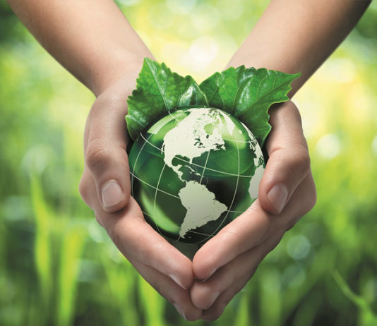 What-Can-I-Contribute-To-Save-Mother-Earth