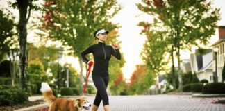 4 Fitness Improvement Recommendations For Your Family, Pets Also